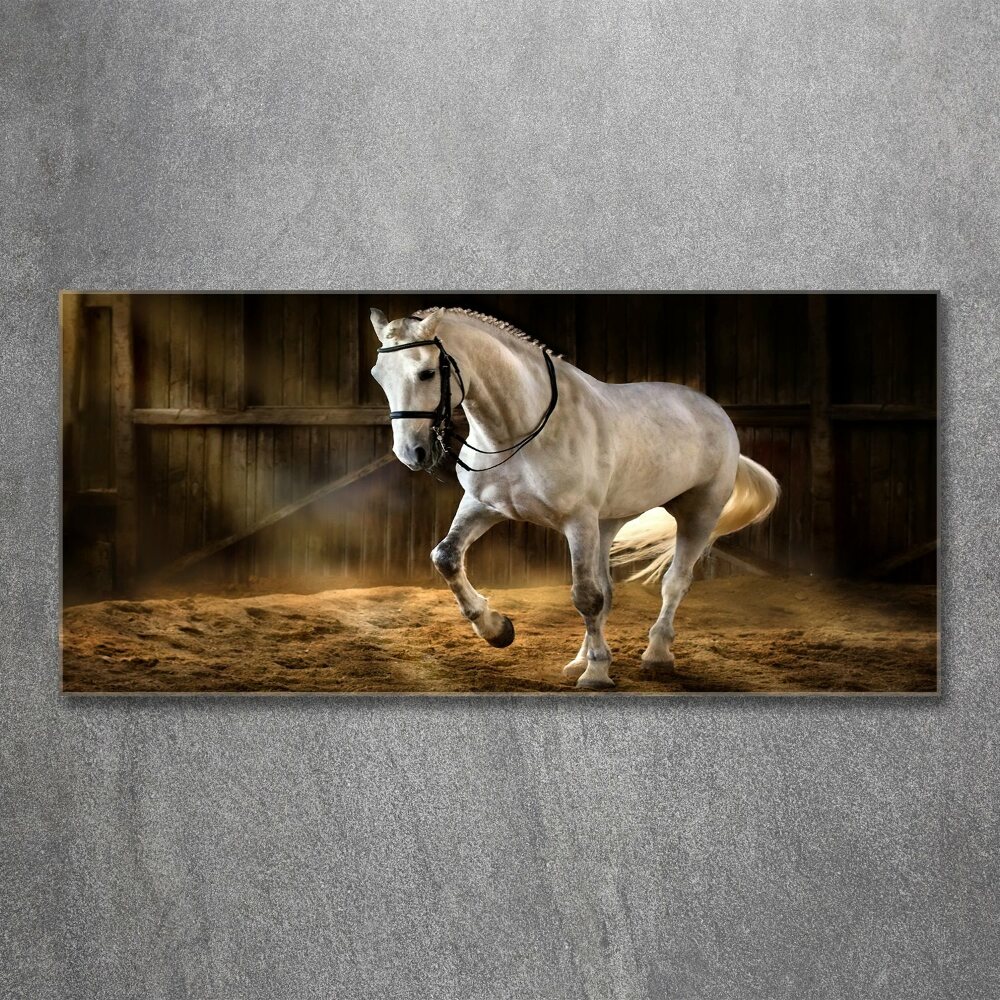 Tableau verre acrylique Cheval blanc à l'écurie