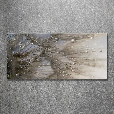 Tableau verre acrylique Graine de moucheron