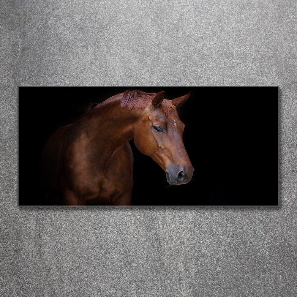 Tableau en acrylique Cheval brun