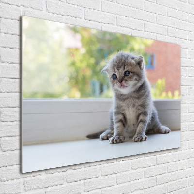 Tableau en acrylique Petit chat à la fenêtre