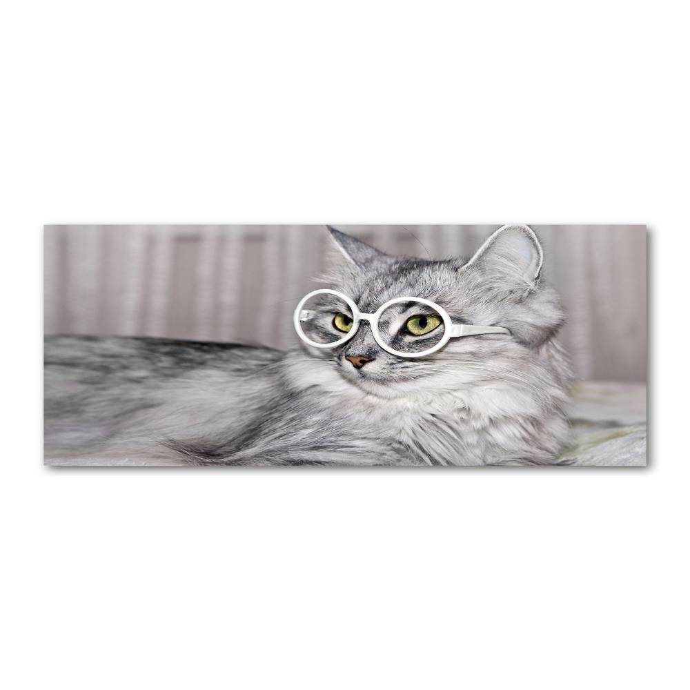 Acrylique tableau Chat en lunettes