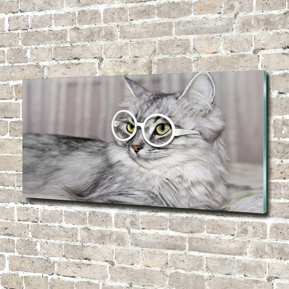 Acrylique tableau Chat en lunettes