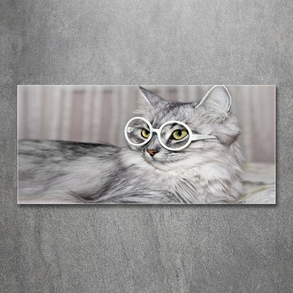 Acrylique tableau Chat en lunettes