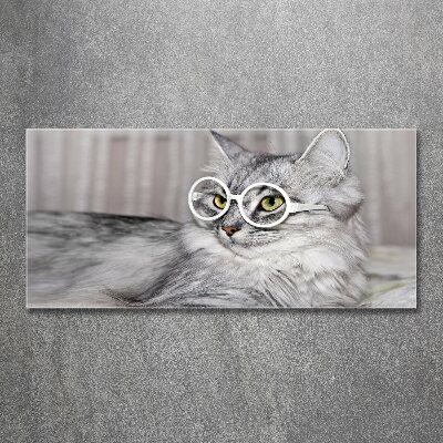 Acrylique tableau Chat en lunettes