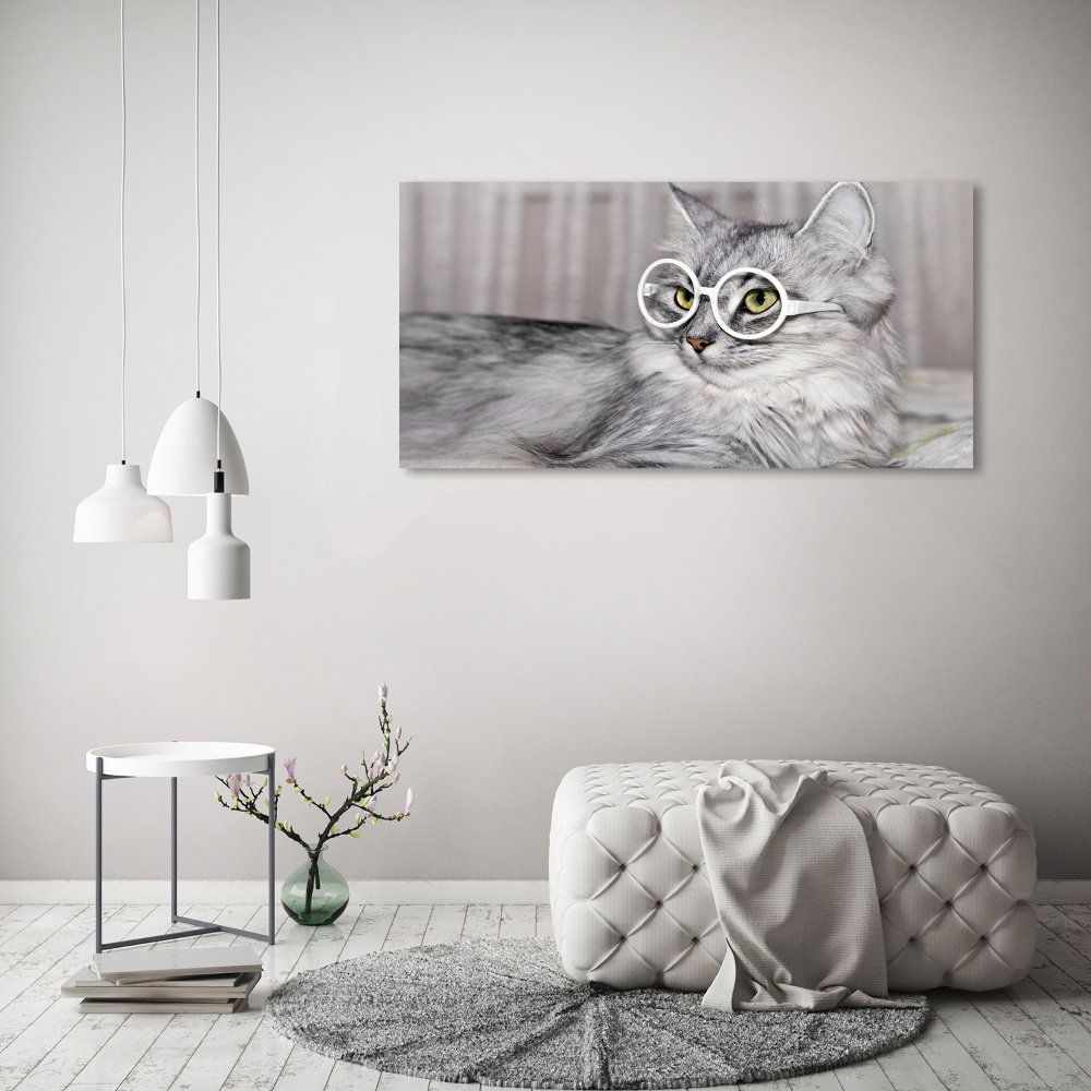 Acrylique tableau Chat en lunettes