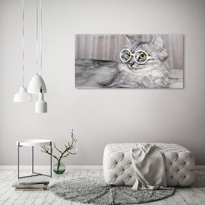 Acrylique tableau Chat en lunettes