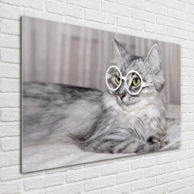 Acrylique tableau Chat en lunettes