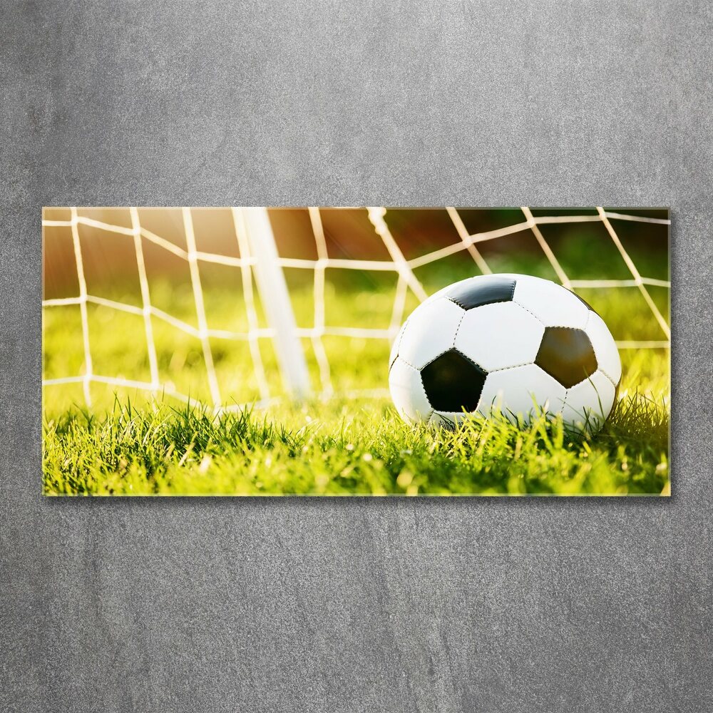 Acrylique tableau Football dans les portes