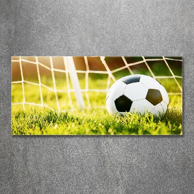 Acrylique tableau Football dans les portes