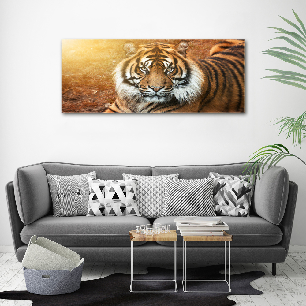 Tableau verre acrylique Tigre du Bengale