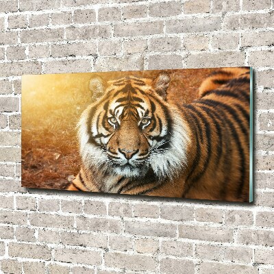 Tableau verre acrylique Tigre du Bengale