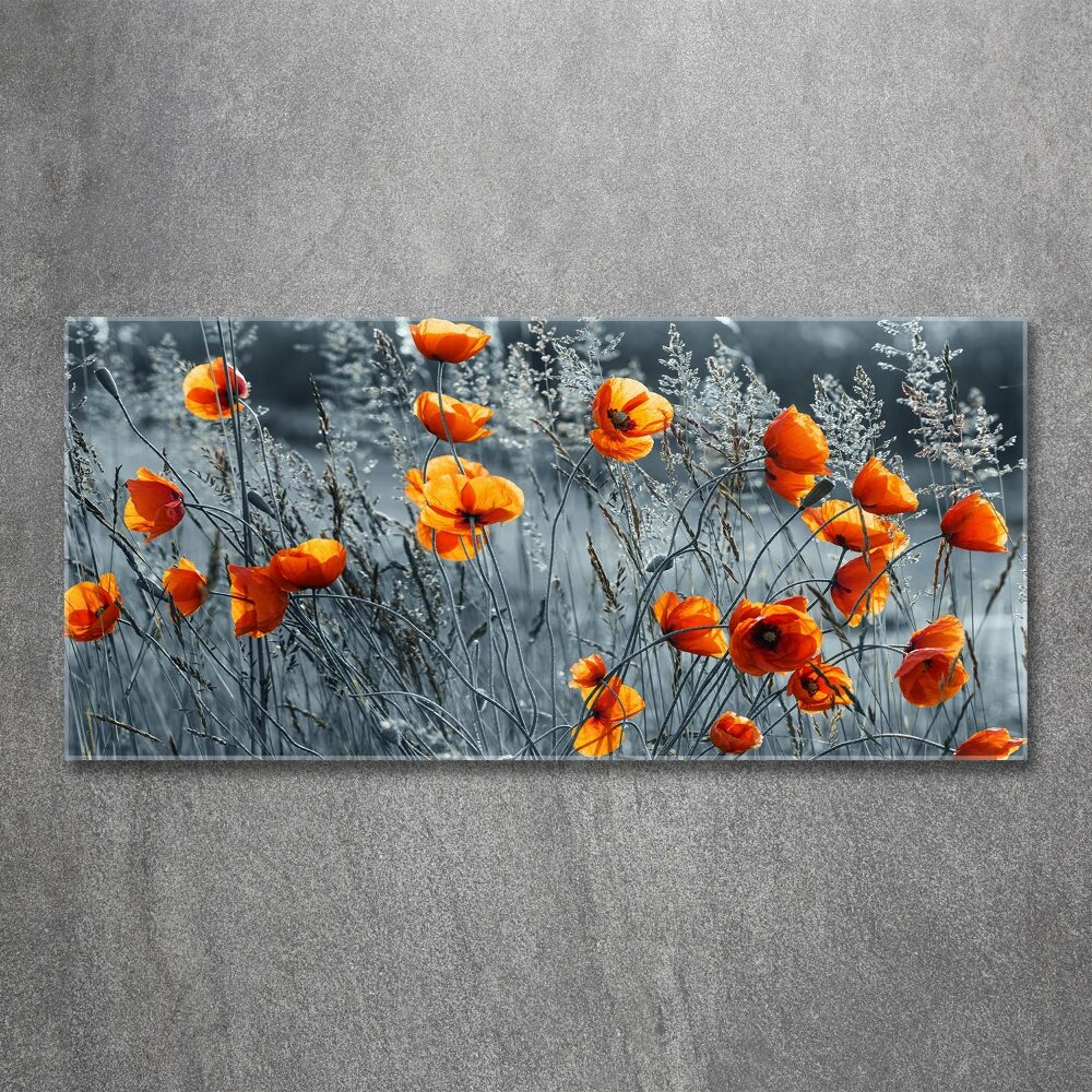 Tableau verre acrylique Coquelicot des champs