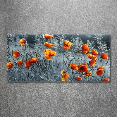 Tableau verre acrylique Coquelicot des champs