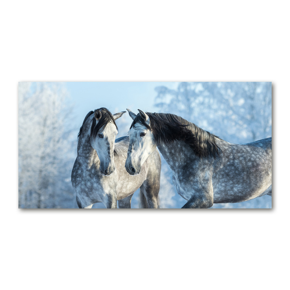 Tableau acrylique Chevaux gris en hiver