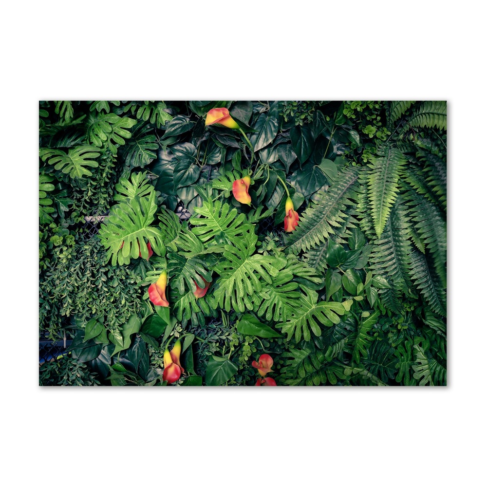 Tableau verre acrylique Jungle exotique