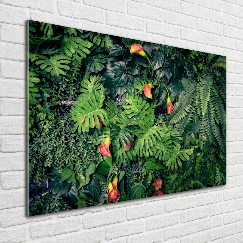 Tableau verre acrylique Jungle exotique