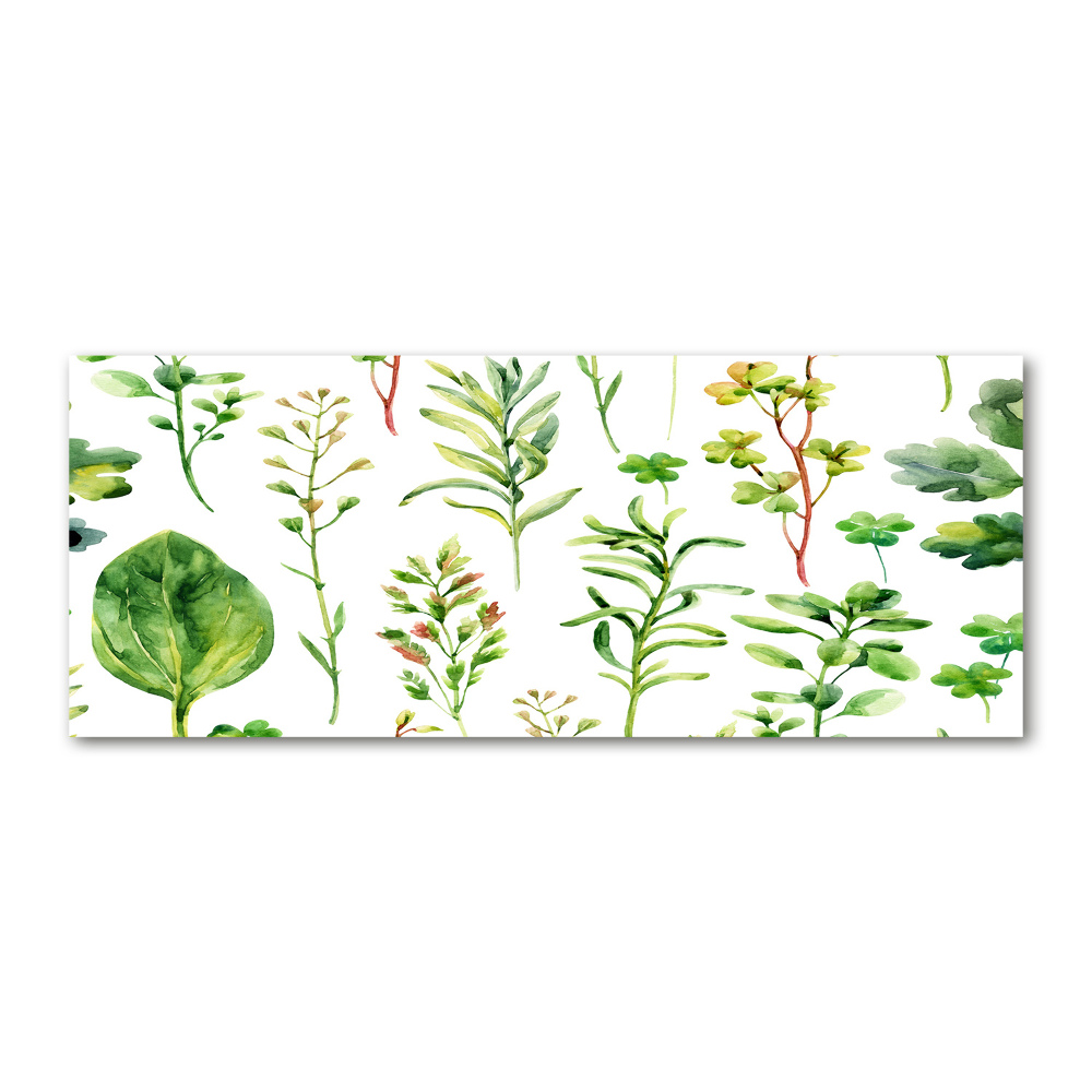 Tableau sur verre acrylique Herbes et mauvaises herbes