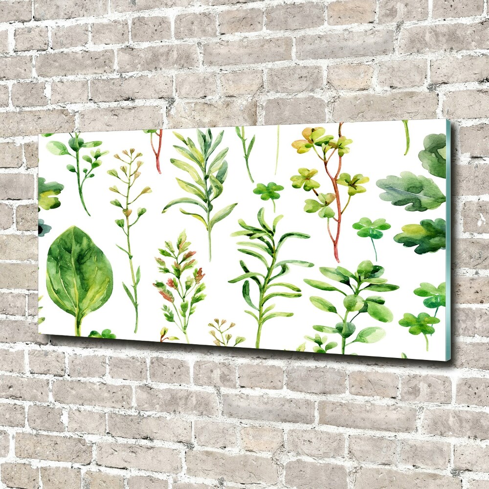 Tableau sur verre acrylique Herbes et mauvaises herbes