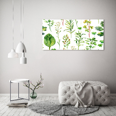 Tableau sur verre acrylique Herbes et mauvaises herbes