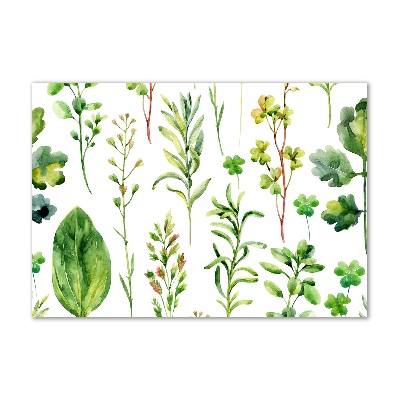 Tableau sur verre acrylique Herbes et mauvaises herbes