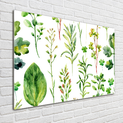 Tableau sur verre acrylique Herbes et mauvaises herbes