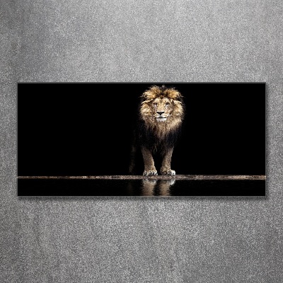 Tableau verre acrylique Portrait d'un lion