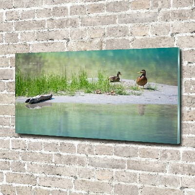 Acrylique tableau Canards au bord de l'eau