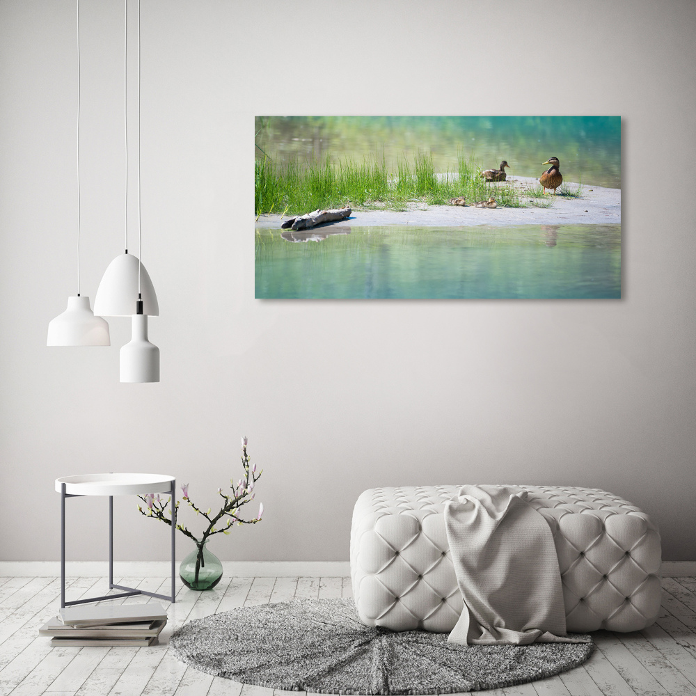 Acrylique tableau Canards au bord de l'eau