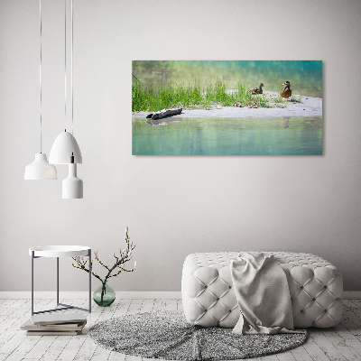 Acrylique tableau Canards au bord de l'eau