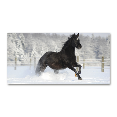 Tableau acrylique Cheval au galop Neige