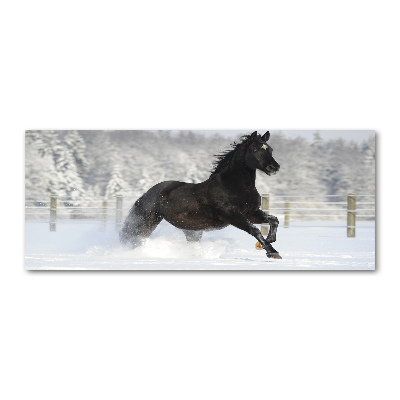 Tableau acrylique Cheval au galop Neige