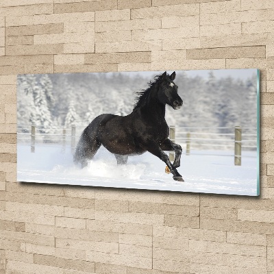 Tableau acrylique Cheval au galop Neige