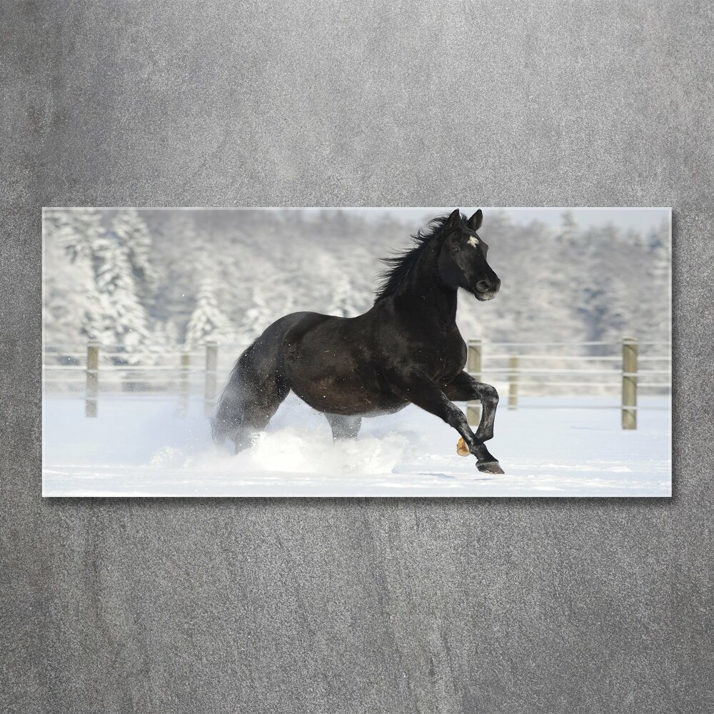 Tableau acrylique Cheval au galop Neige