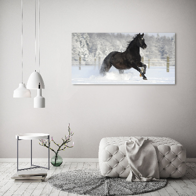 Tableau acrylique Cheval au galop Neige