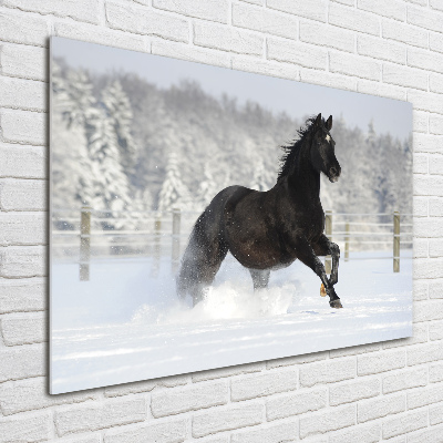 Tableau acrylique Cheval au galop Neige