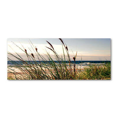 Tableau sur verre acrylique Les dunes de mer