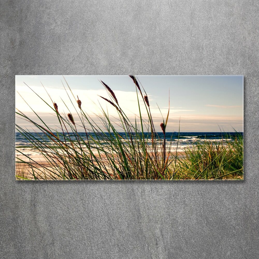 Tableau sur verre acrylique Les dunes de mer