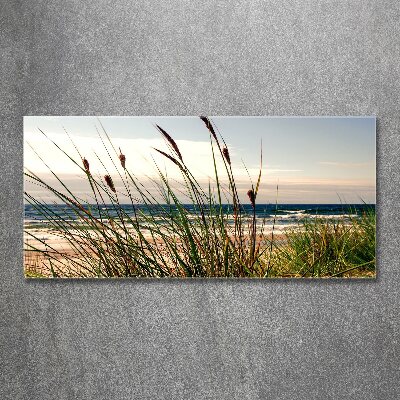 Tableau sur verre acrylique Les dunes de mer