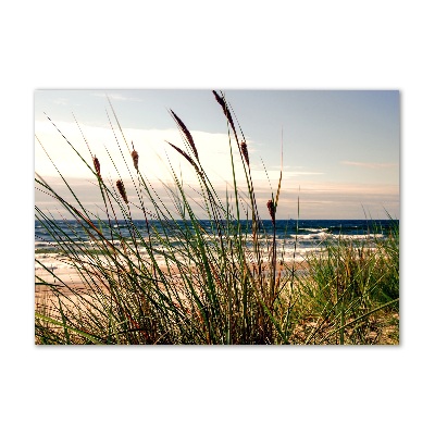 Tableau sur verre acrylique Les dunes de mer