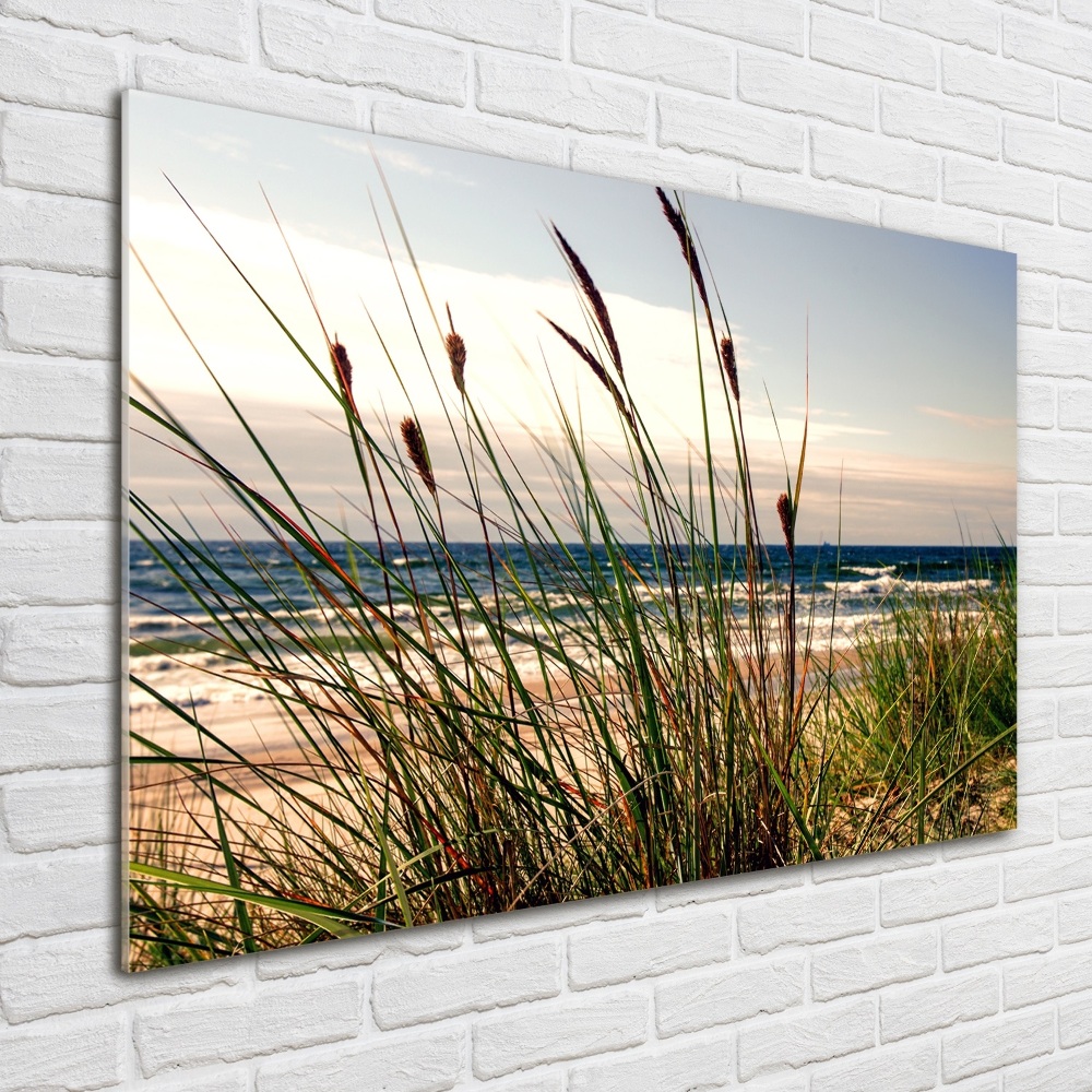 Tableau sur verre acrylique Les dunes de mer