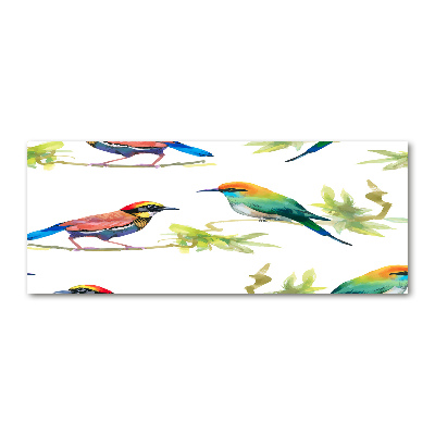 Tableau verre acrylique Oiseaux exotiques