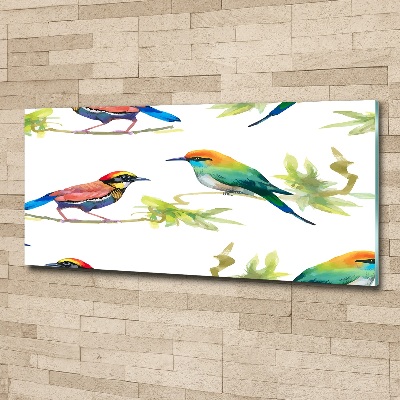 Tableau verre acrylique Oiseaux exotiques