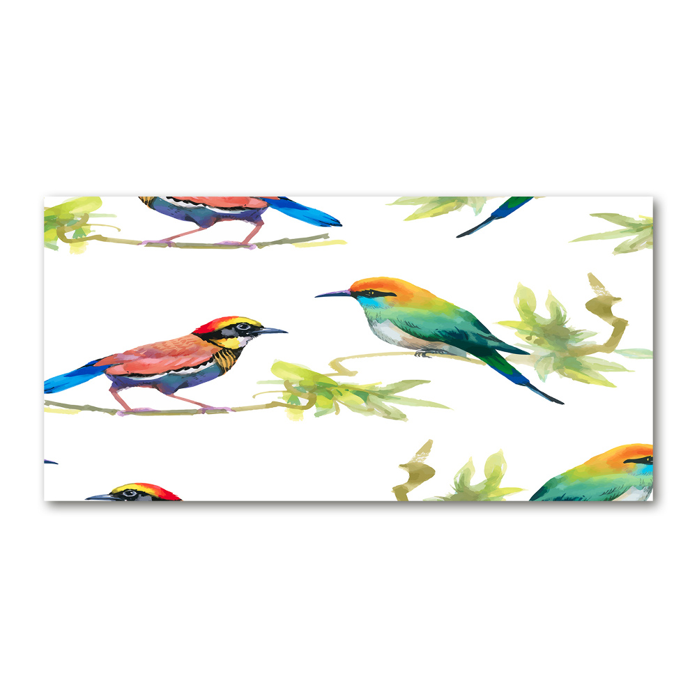 Tableau verre acrylique Oiseaux exotiques