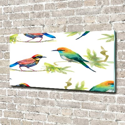 Tableau verre acrylique Oiseaux exotiques