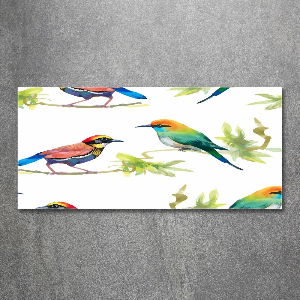 Tableau verre acrylique Oiseaux exotiques