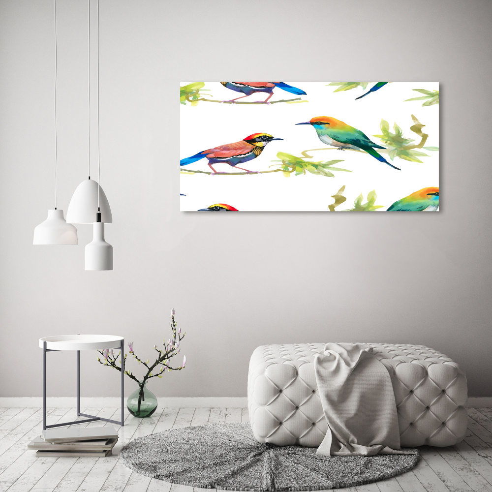 Tableau verre acrylique Oiseaux exotiques