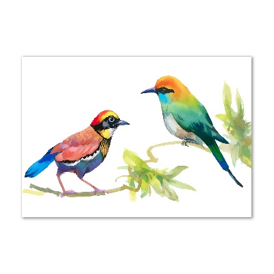 Tableau verre acrylique Oiseaux exotiques