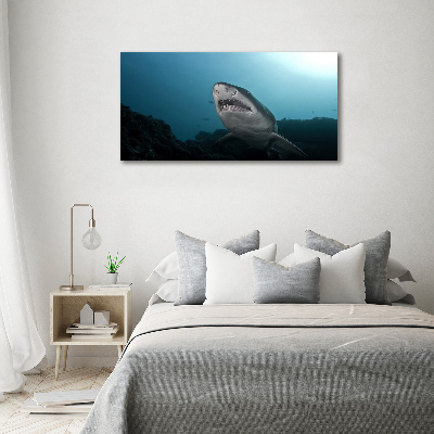 Tableau sur verre acrylique Grand requin