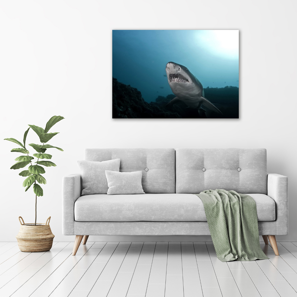 Tableau sur verre acrylique Grand requin