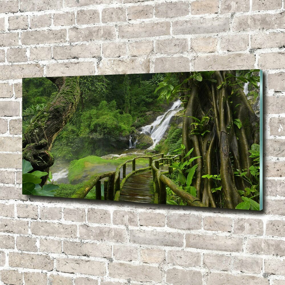 Tableau en acrylique Chute d'eau dans la jungle